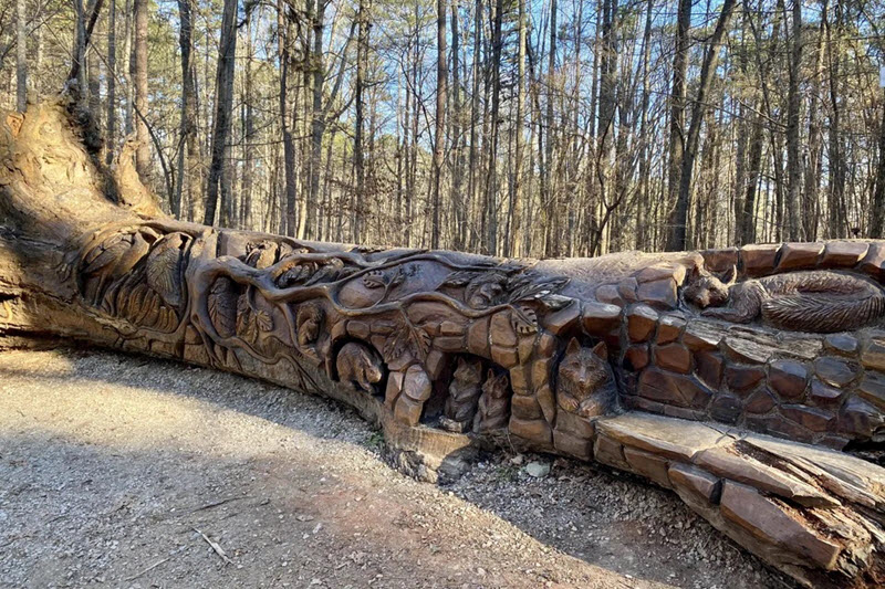 animals and tree branches carved into the trunk of a massive fallen tree at Umstead Park in Raleigh, NC