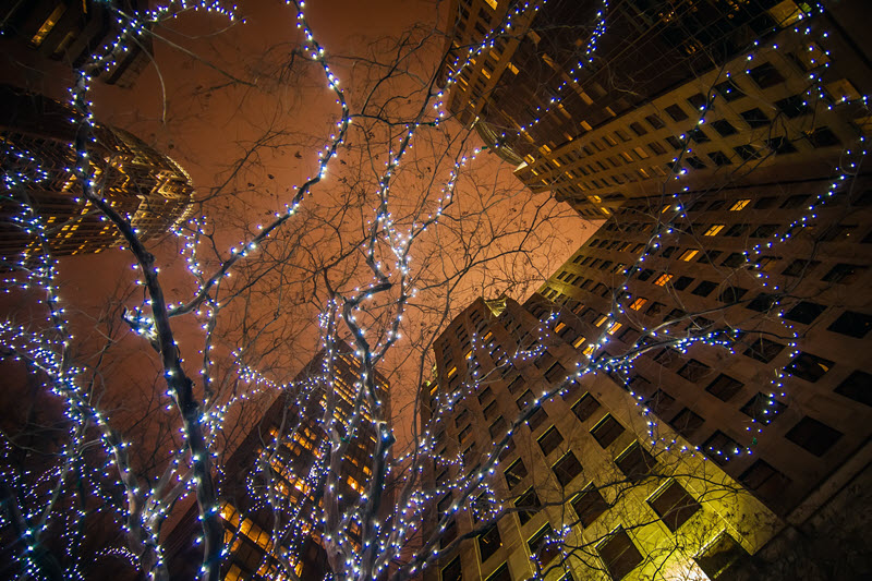 Looking up at the skyscrapers in uptown Charlotte, NC
