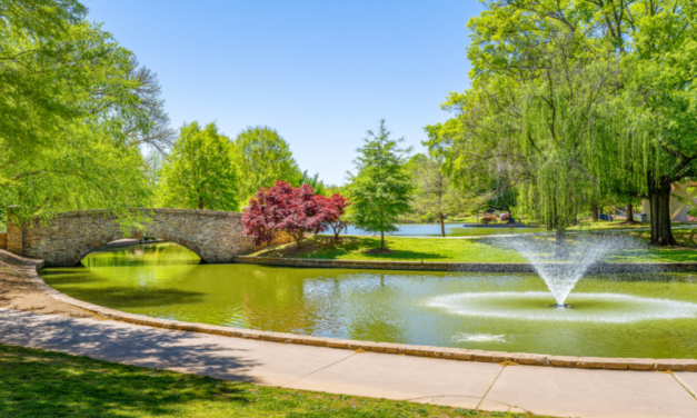 Visit Freedom Park — Charlotte’s Best Park