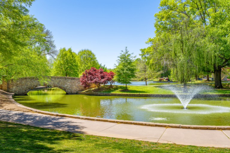 Visit Freedom Park Charlotte’s Best Park Carolina Traveler