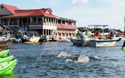 The 8 Best Things To Do In Charleston SC