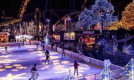 Discover Holiday Thrills That Will Wow Your Out-of-Town Guests