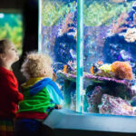 Visit The SC Aquarium — The #1 Best Attraction In Downtown Charleston