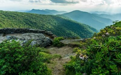 Enjoy An Unforgettable Romantic Asheville Weekend At These 10 Attractions