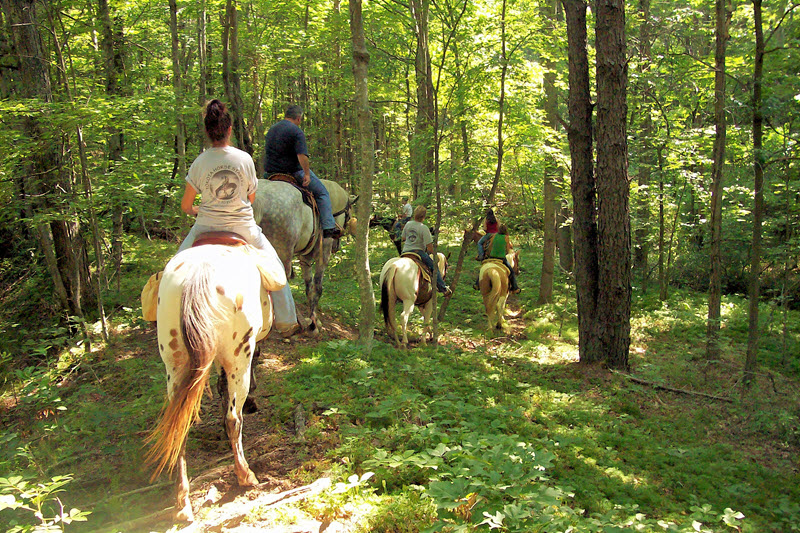 Riders on horseback venture into the woods near Hanging Rock State Park.