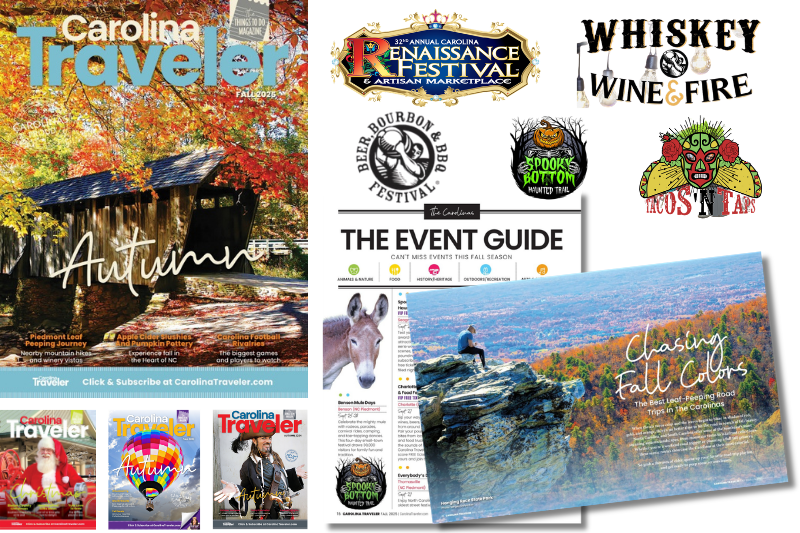 VIP subscription with free tickets