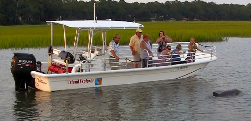 Island Explorers dolphin strand feeding tour