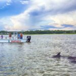 🔑 Island Explorers Brings You Up Close To Dolphin Strand Feeding