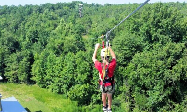 Shallotte River Swamp Park: Take On Aerial Adventures At An Alligator Sanctuary!