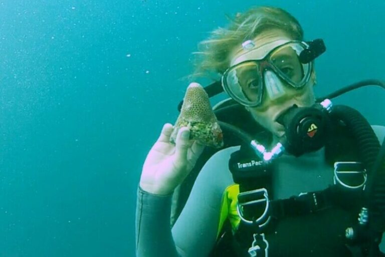 Shark Tooth Diving, Spearfishing 100 Feet Deep! Carolina Traveler