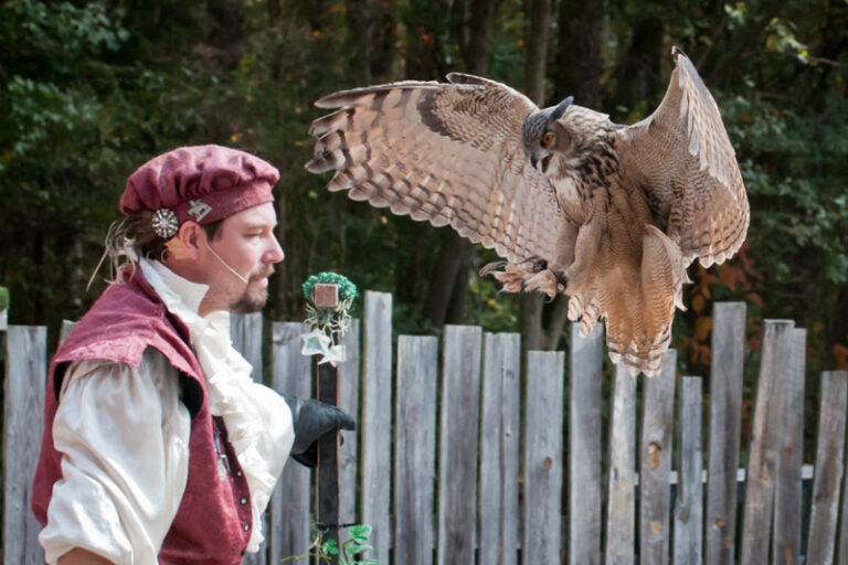 A Time Capsule of Merriment NC Renaissance Festival near Charlotte