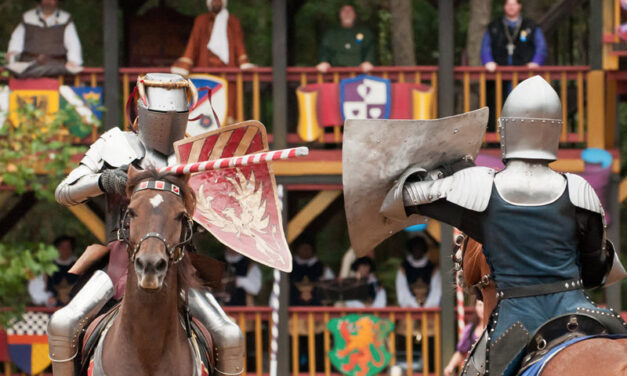 A Time Capsule of Merriment NC Renaissance Festival near Charlotte