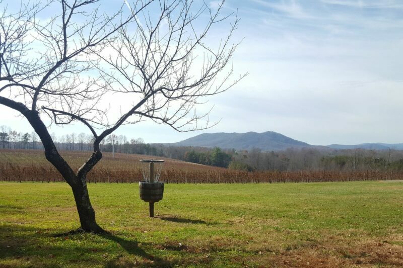 Round Peak Vineyards disc golf course