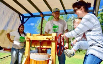 Where’s The Best SC and NC Apple Picking Near Me?