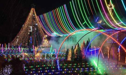 Carolina Holiday Magic Starts Here