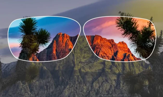 Fall Colors Giveaway: We’re Giving Away 2 Free Glasses In Support Of Color Blindness