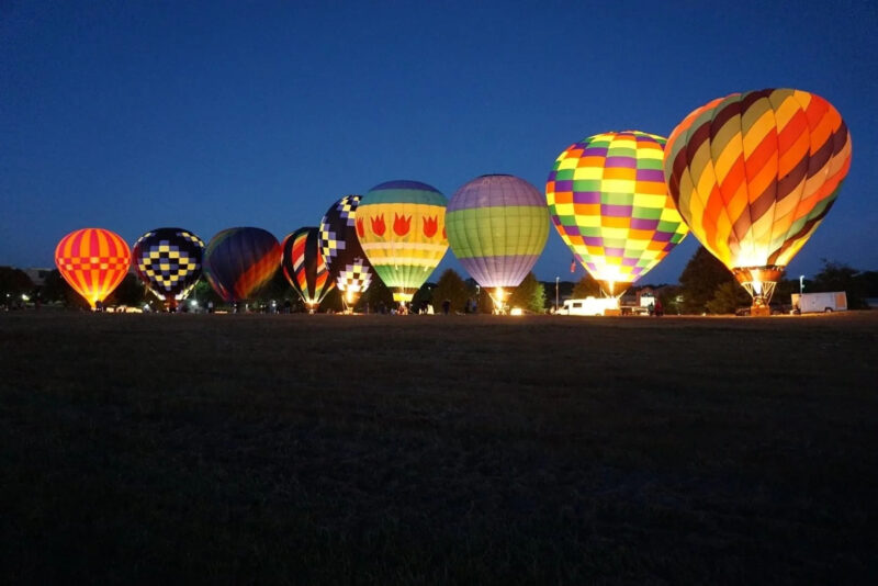 Palmetto Sun Balloons line-up of balloons