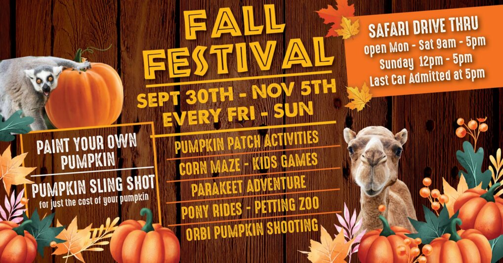 Fall Festival at Eudora Farms