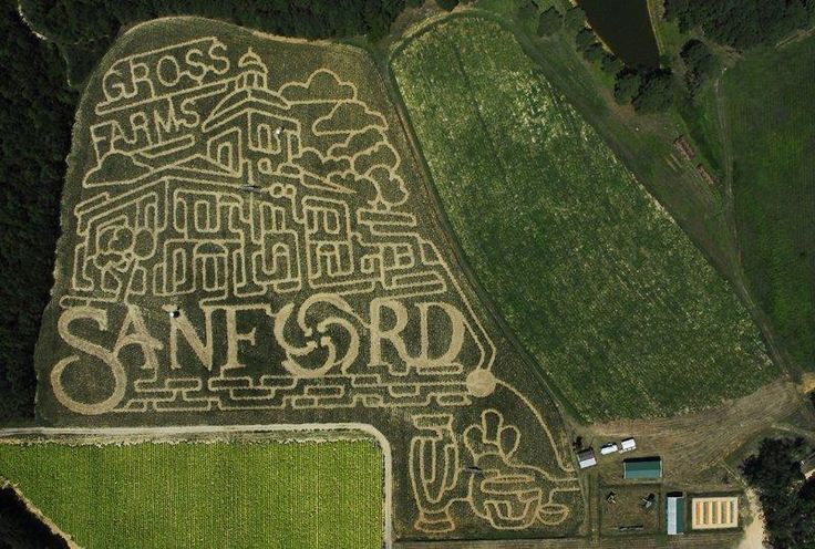 North Carolina corn maze Gross Farms