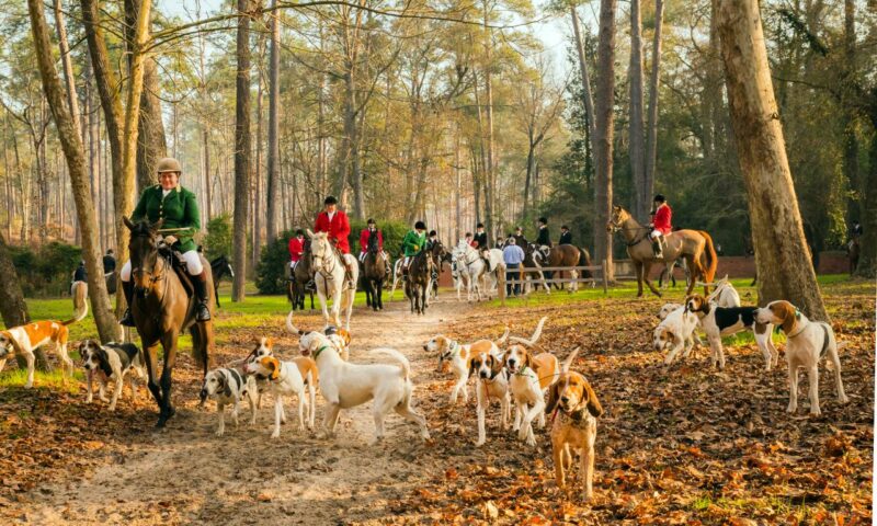 The Blessing of the Hounds in Aiken, SC.
