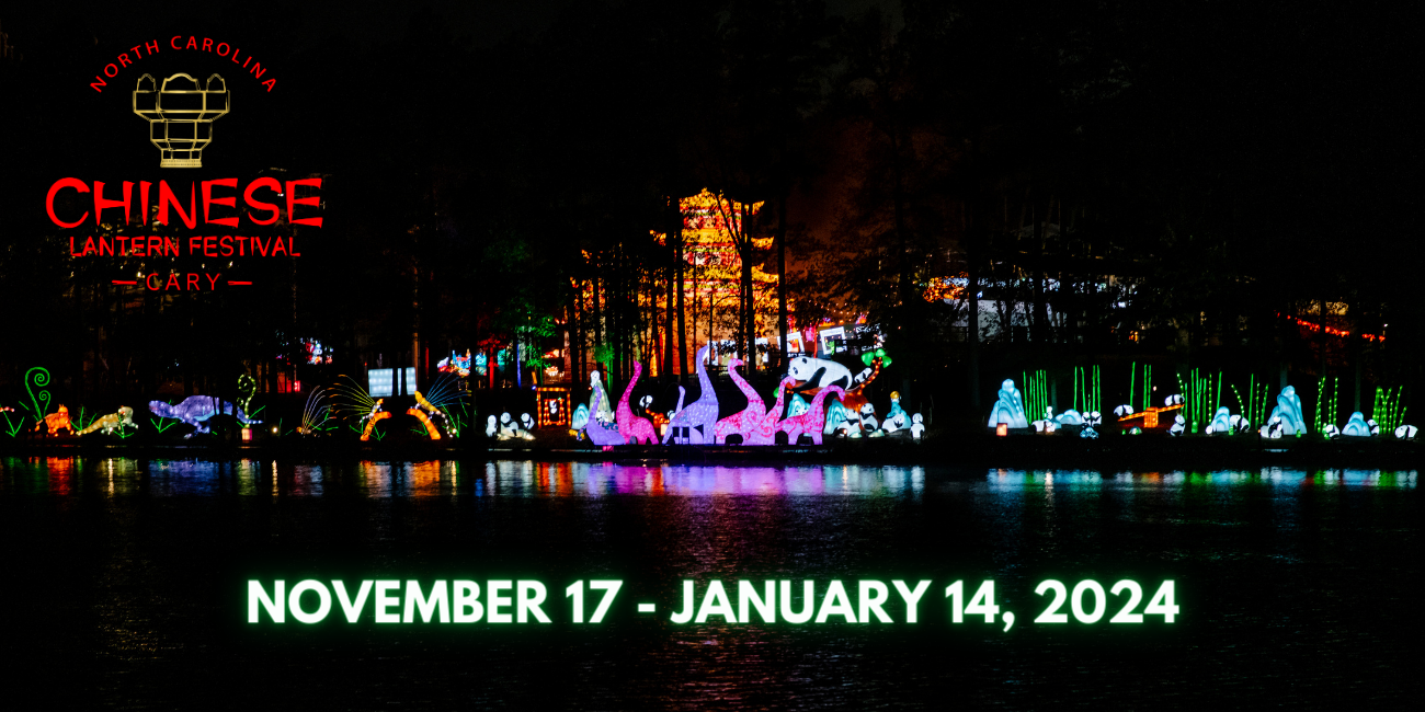 Magical Lantern Festival: A Journey Through Light and Tradition