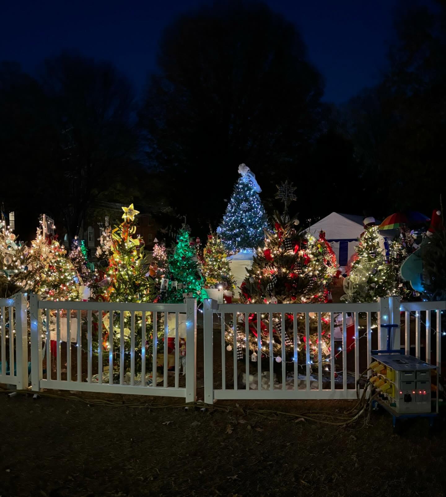 Christmas in Davidson