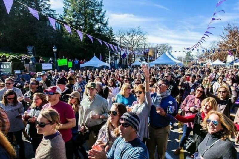 Crowd at the Highlands Food & Wine Festival