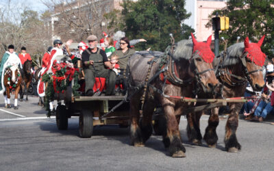Holiday Activities In NC