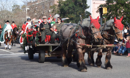 Holiday Activities In NC