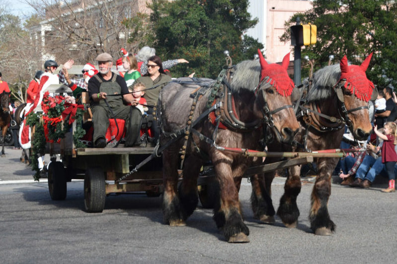 Giant horses at the Hoofbeats & Christmas Carols Parade in Aiken