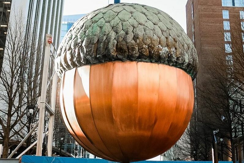 Raleigh giant acorn