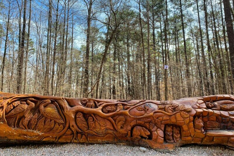 Chainsaw art scene at the Graylyn Trail at William B Umstead State Park in NC -- one of the most fun family things to do near me in NC