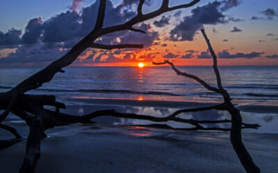 🔑 2024 Winter Day Trips