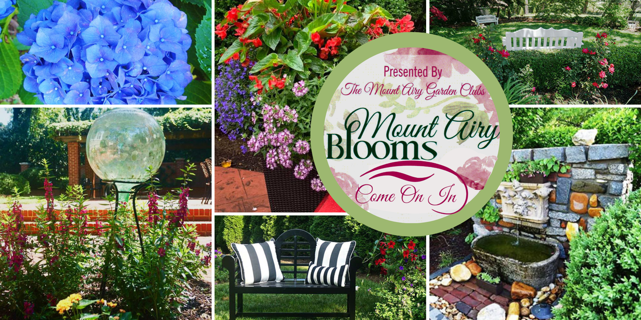 The 2024 Mount Airy Blooms Tour