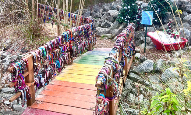 The Healing Embrace of the Rainbow Bridge: A Sanctuary for Love and Remembrance in Lake Lure