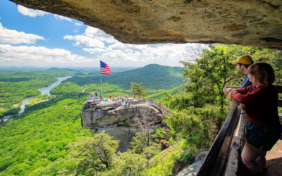 🔑 Unicorn Farms, Enchanted Forests, and More! The Carolinas’ 6 Most Magical Experiences