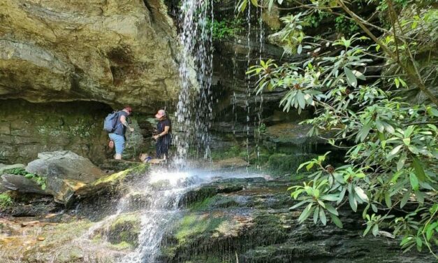 Summer Day Trips