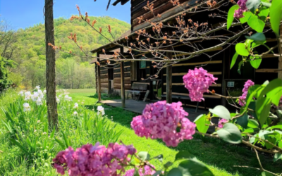 🔑 2024 Spring Day Trips