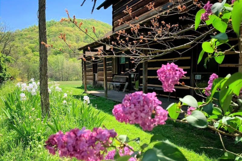 enlarge-old-barn-flower-weaverville-sc_vXU2KOGp Flower in front of the Vance Birthplace in Weaverville