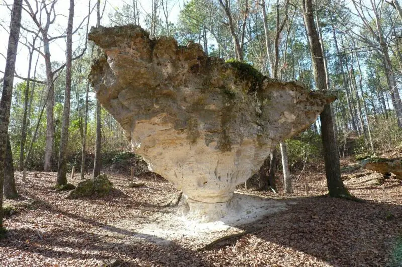 Rock formation at Peachtree Rock Heritage Preserve in Lexington SC
