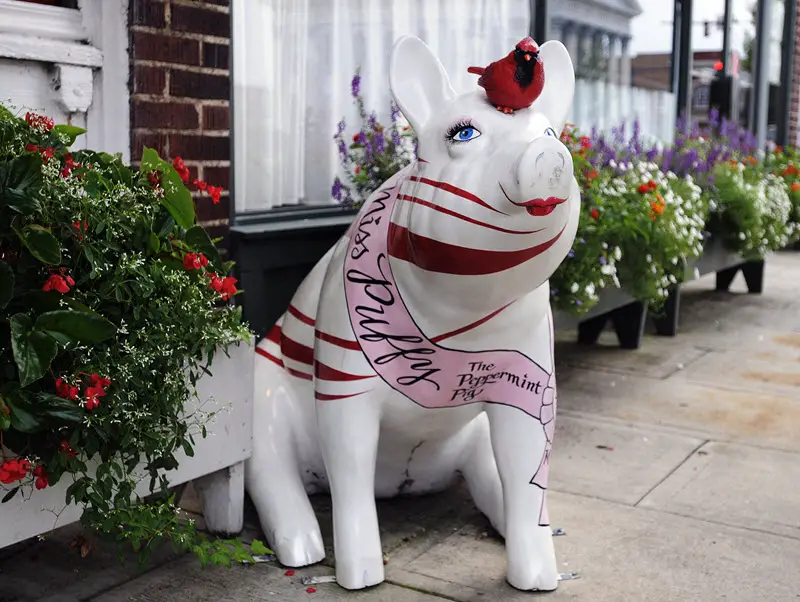 Peppermint pig in front of the candy store