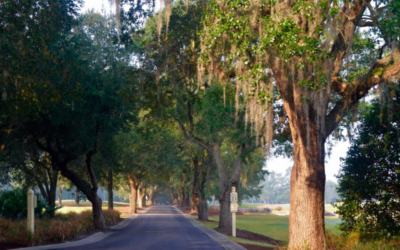 🔑 From Tee to Tea: 2 Golf Vacation Itineraries for Couples