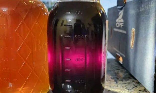 Discover the Magic of Purple Honey in Western North Carolina
