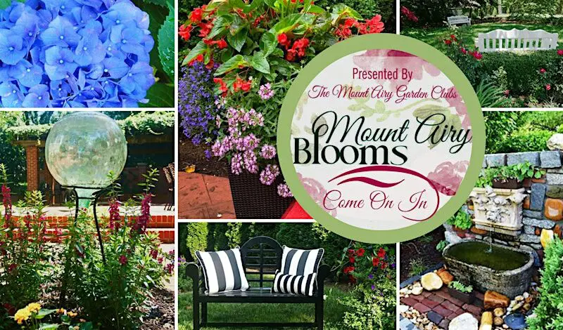 Mount Airy Blooms could be included on the list of NC scenic hikes.