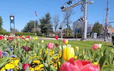 Thomasville NC: It’s hard to withstand the charm of this “legacy town”