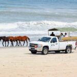 Outer Banks Tours