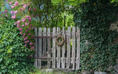 Win 2 Free Tickets to the Mount Airy Blooms Tour!