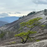 Hiking Stone Mountain and Savoring Elkin