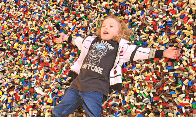 Kid atop a sea of LEGO bricks