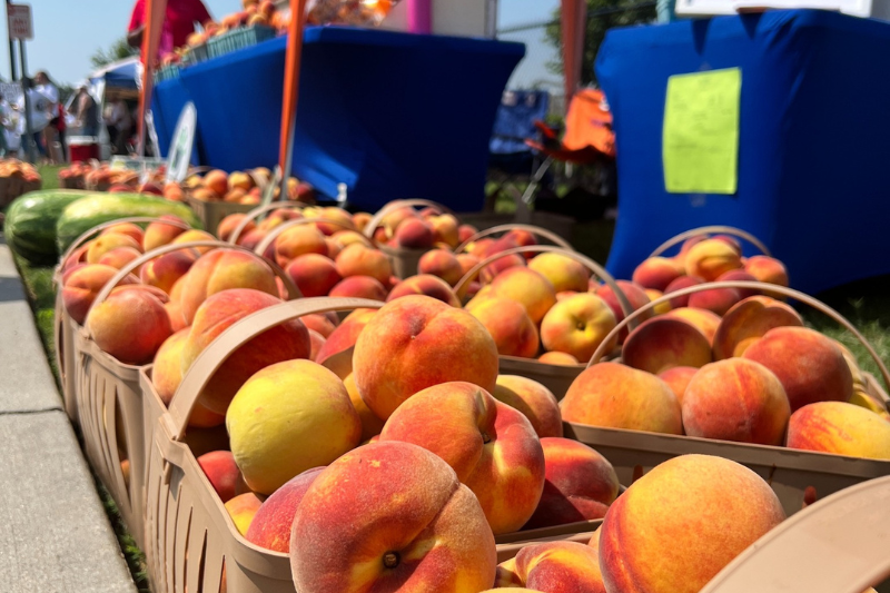 Peaches on display at the SC Peach Fest